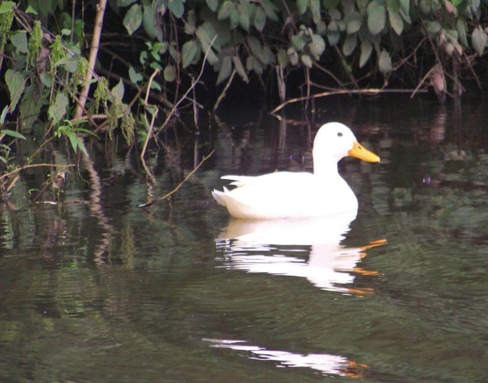 Apartment | Water view