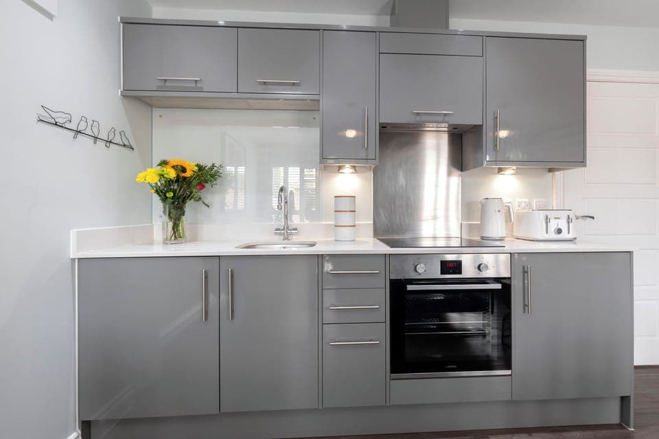 Apartment | Private kitchen | Mini-fridge, oven, stovetop, electric kettle