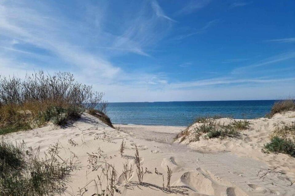 House | View from property