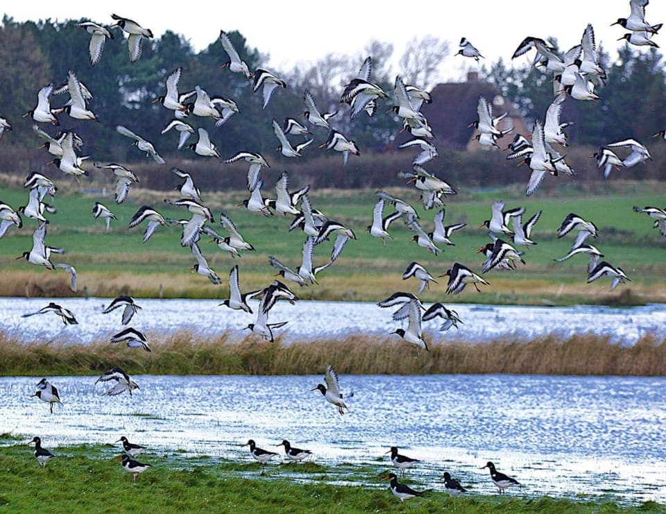 Apartment | View from property