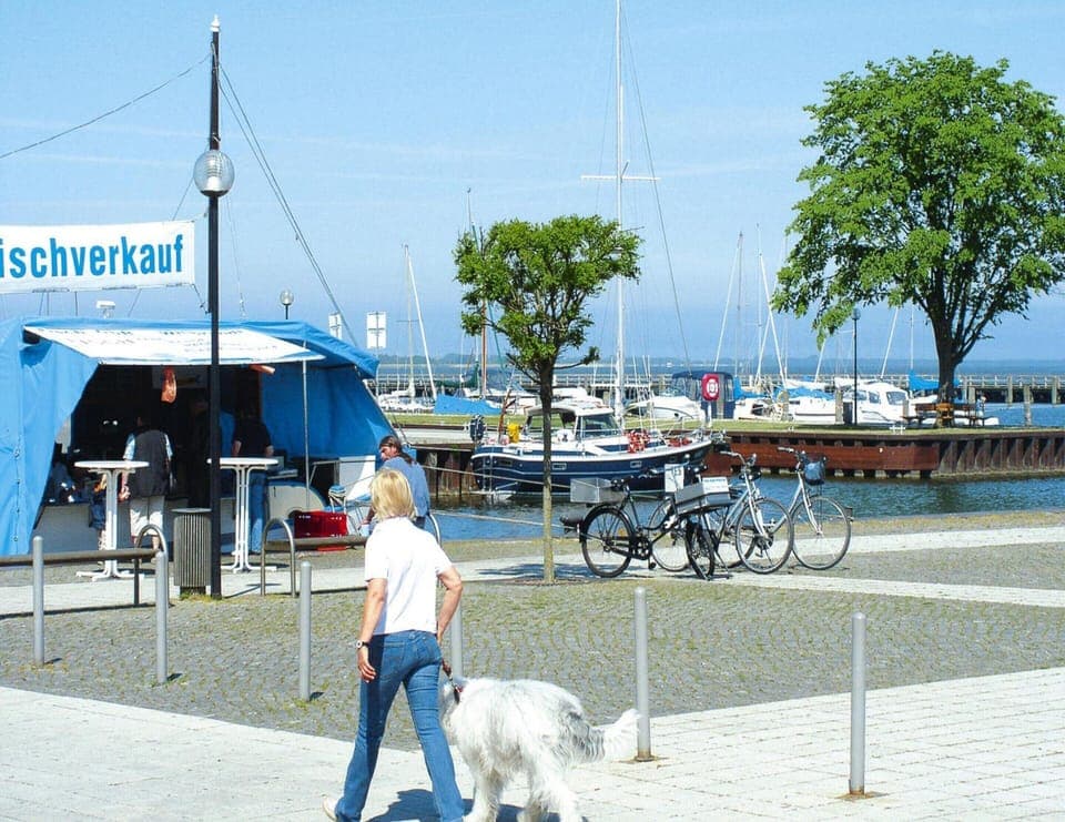 House | View from property