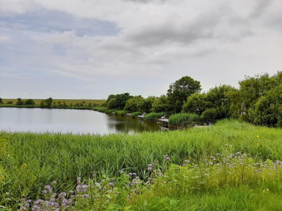 Apartment | Miscellaneous