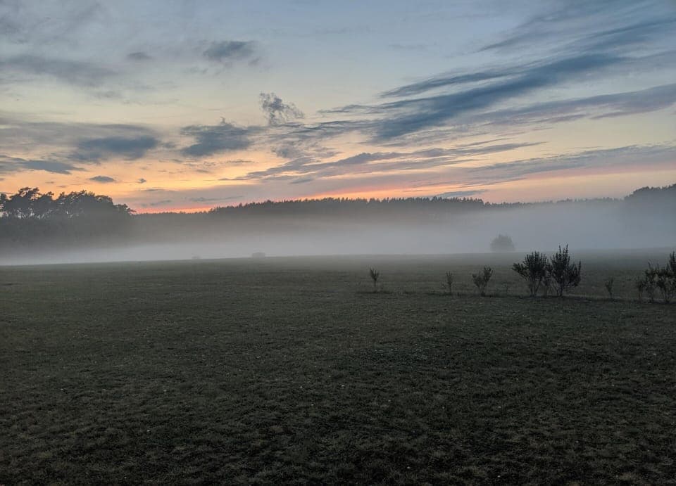 Apartment | View from property