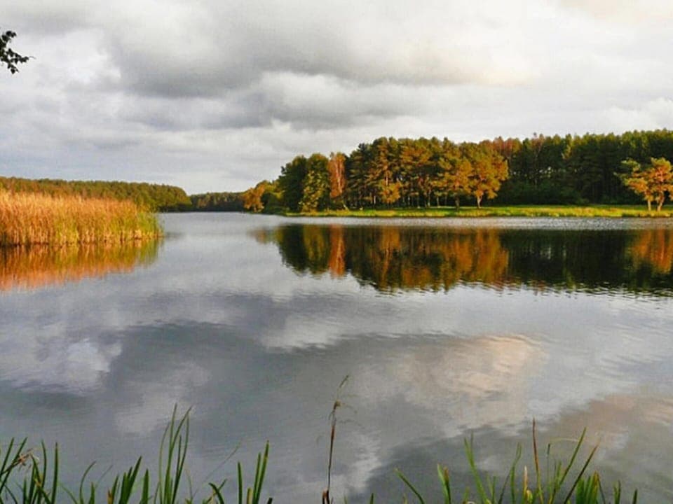 House | View from property