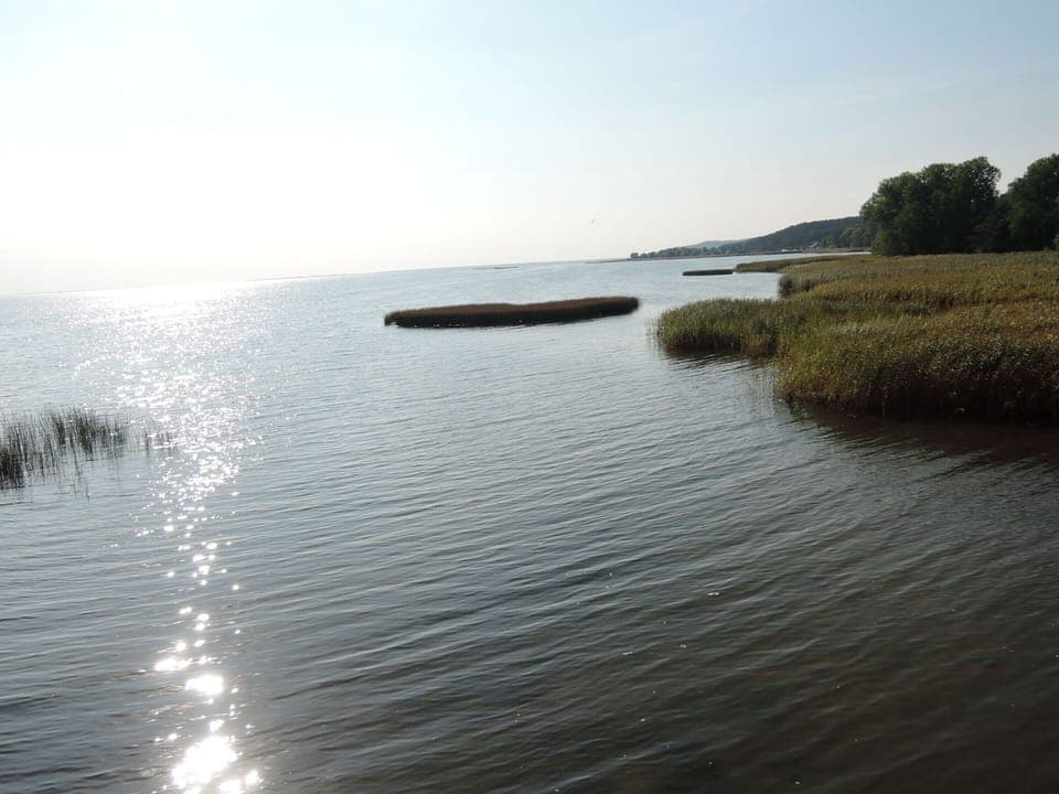 Apartment | View from property