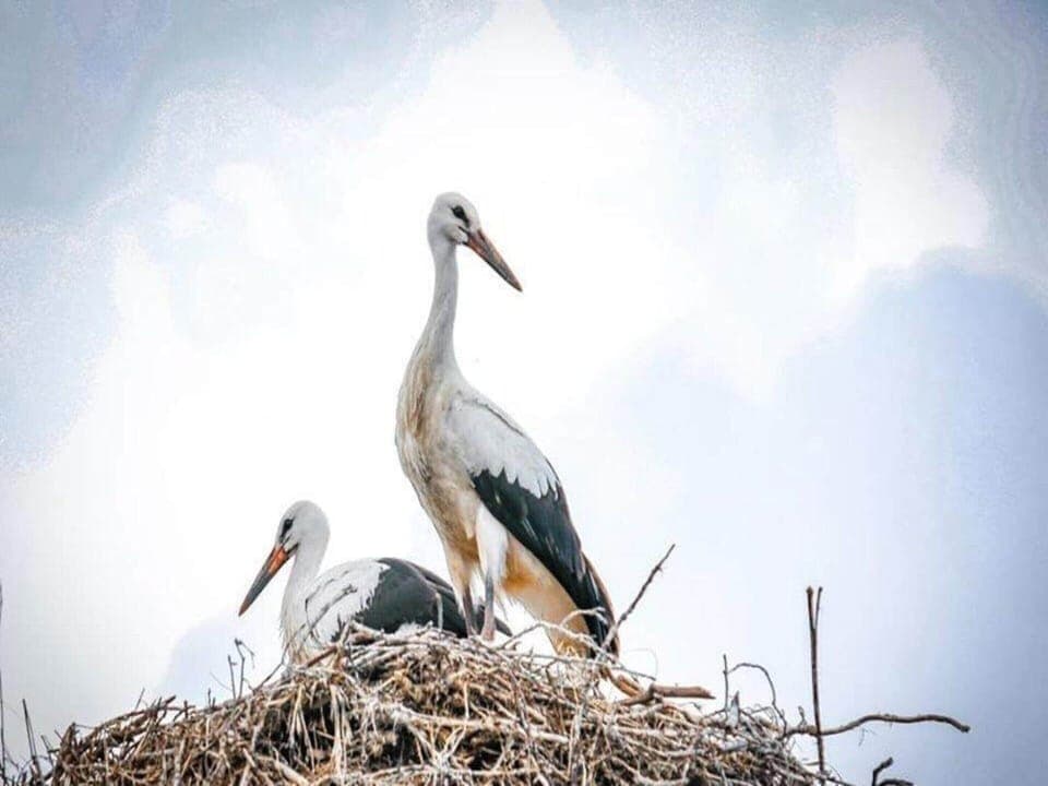 House | Interior detail