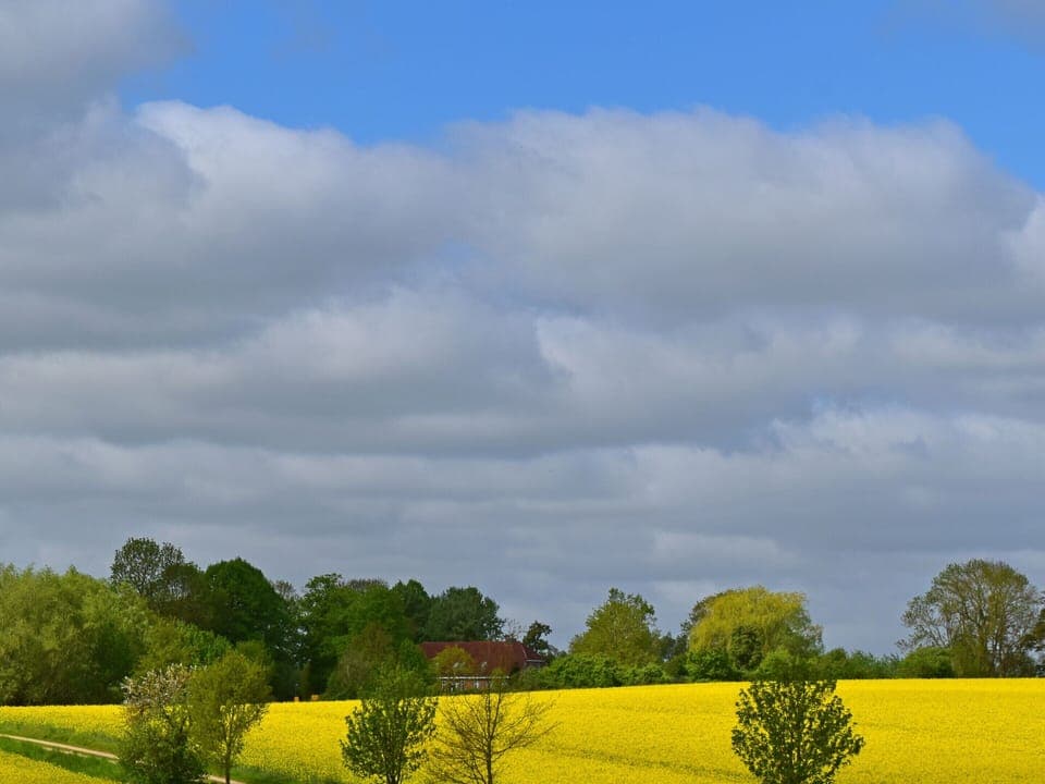 Apartment | View from property