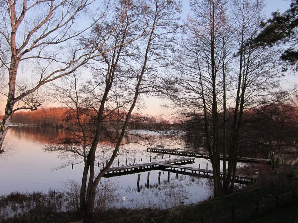 House | View from property