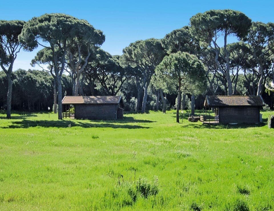 Apartment | View from property