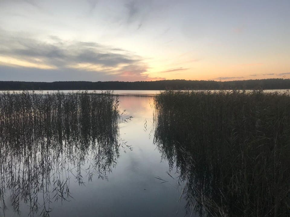 House | View from property