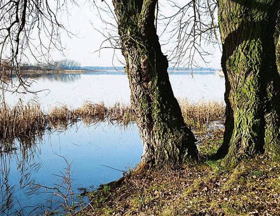 Apartment | View from property