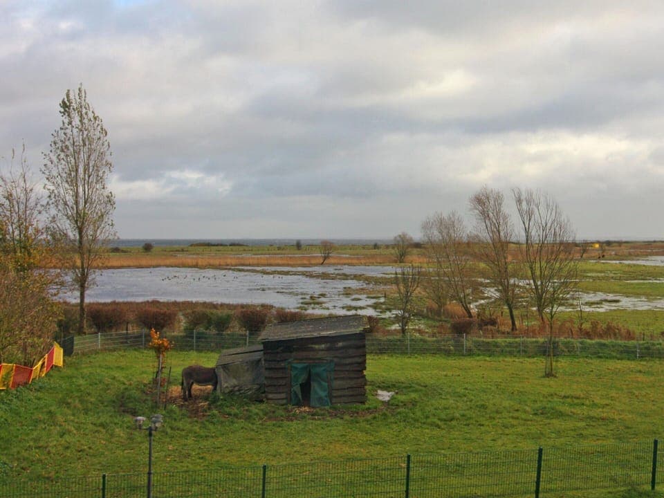 House | View from property