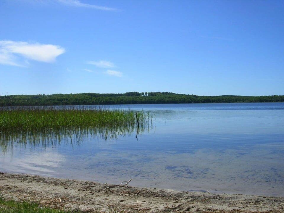 House | View from property