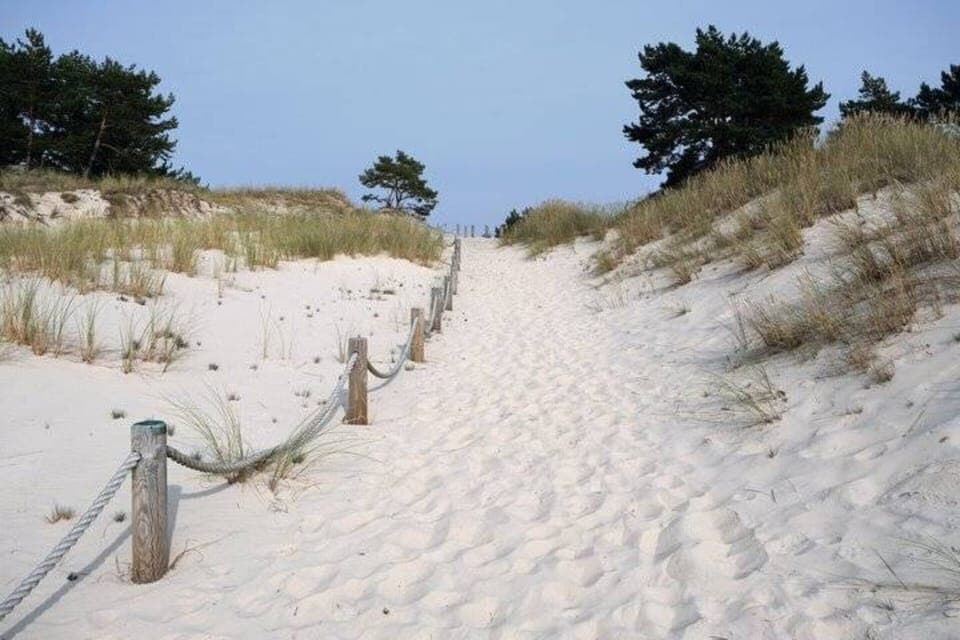 House | View from property