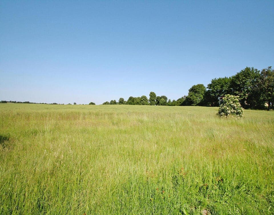 Apartment | View from property