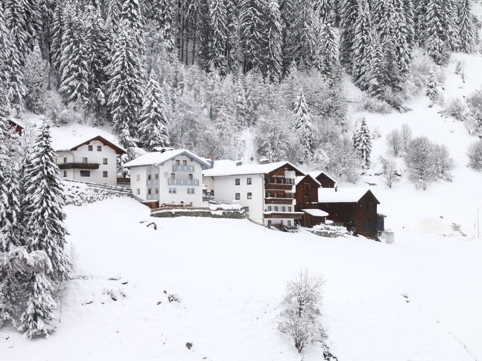 Apartment | Exterior