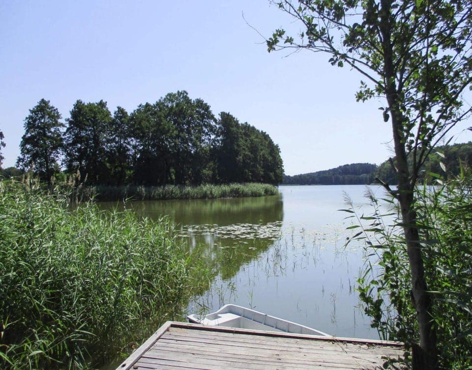 House | View from property