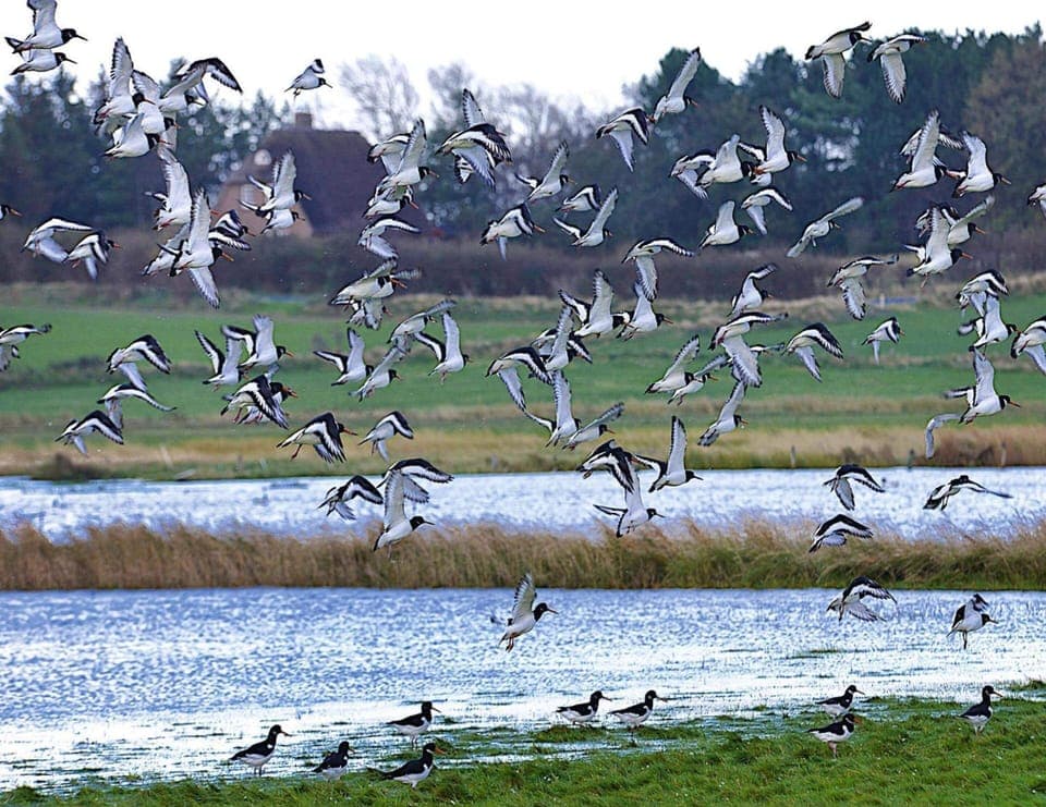 Apartment | View from property