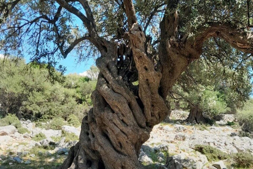 Apartment | View from property