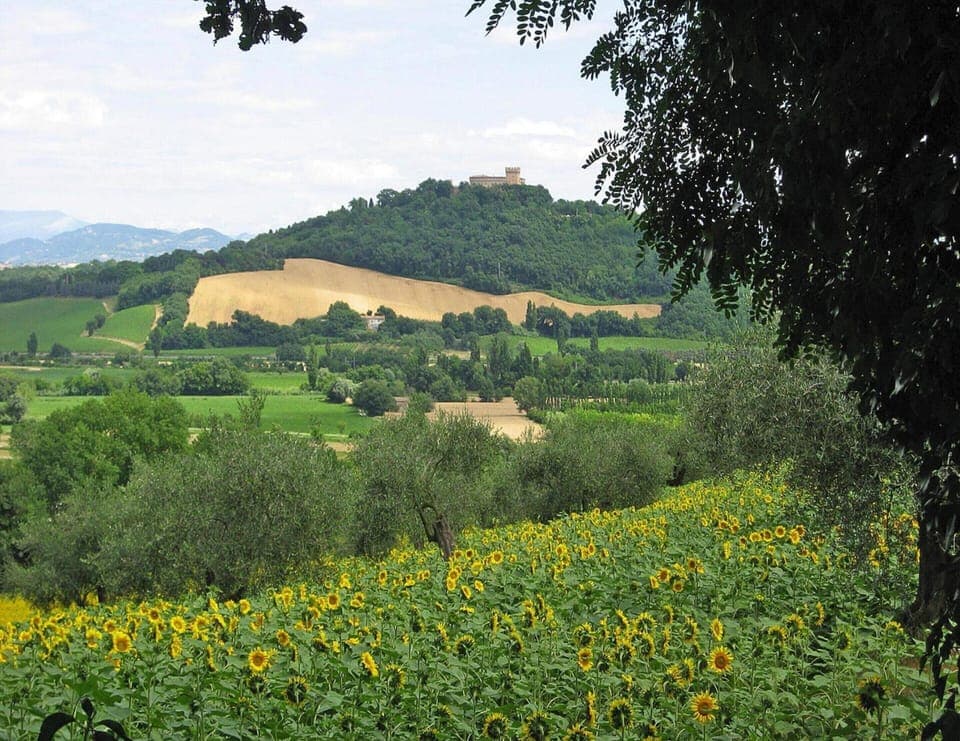 Apartment | View from property