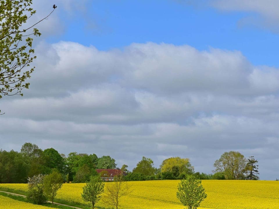 Apartment | Exterior