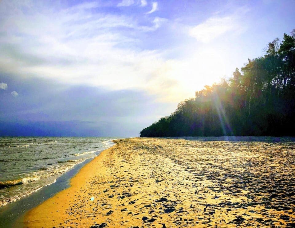 Apartment | View from property