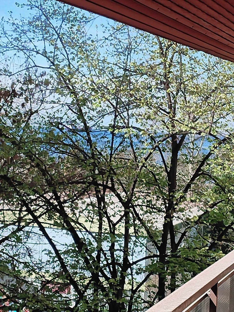 Apartment | View from property