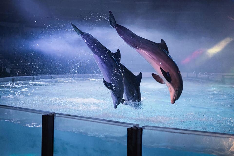 House | View from property