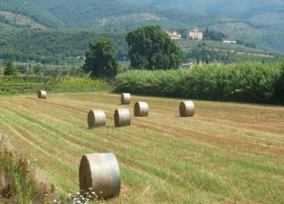 Classic Apartment, 2 Bedrooms | View from property