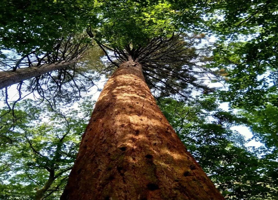 House | View from property