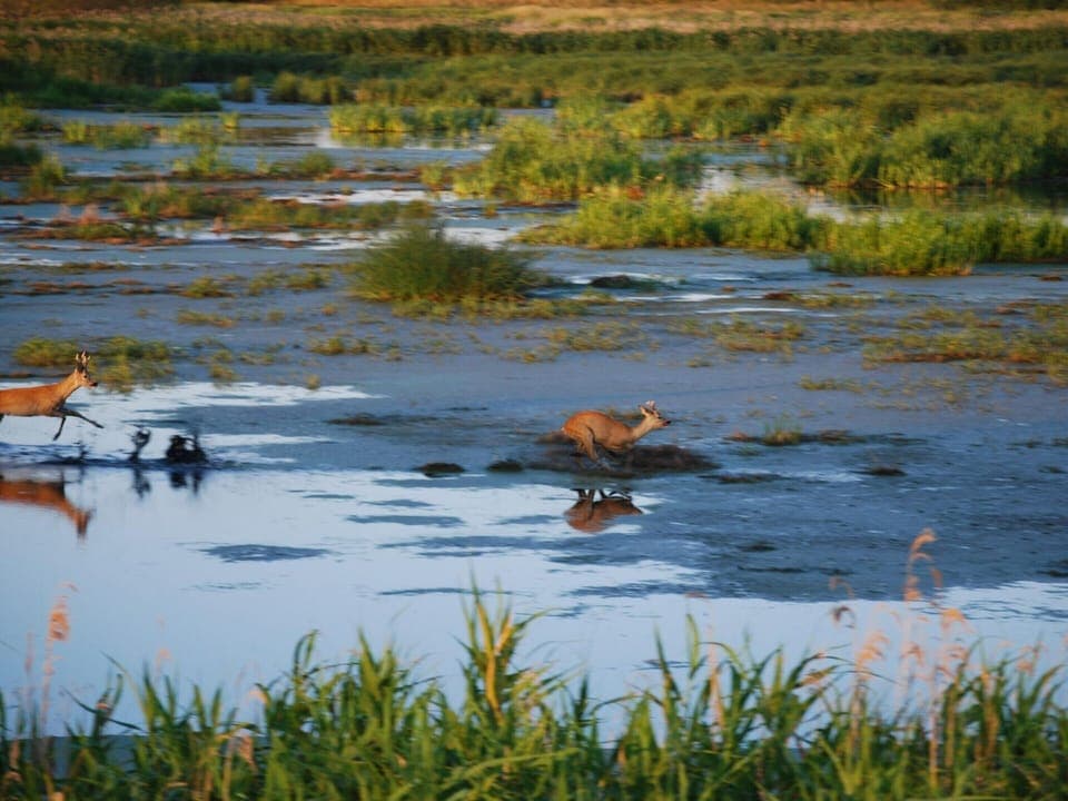 Apartment | View from property