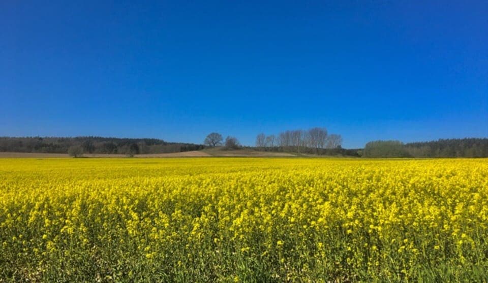 Classic Apartment, 1 Bedroom | View from property