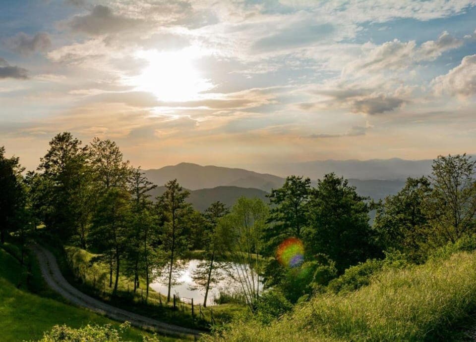 Comfort House, 4 Bedrooms | View from property