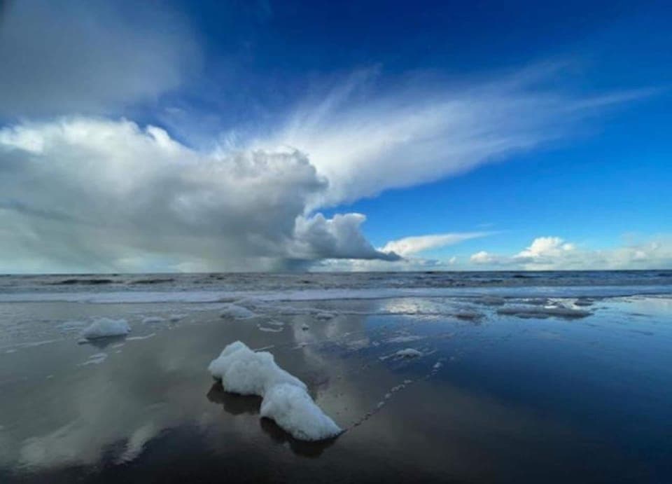 Classic Apartment, 1 Bedroom | View from property