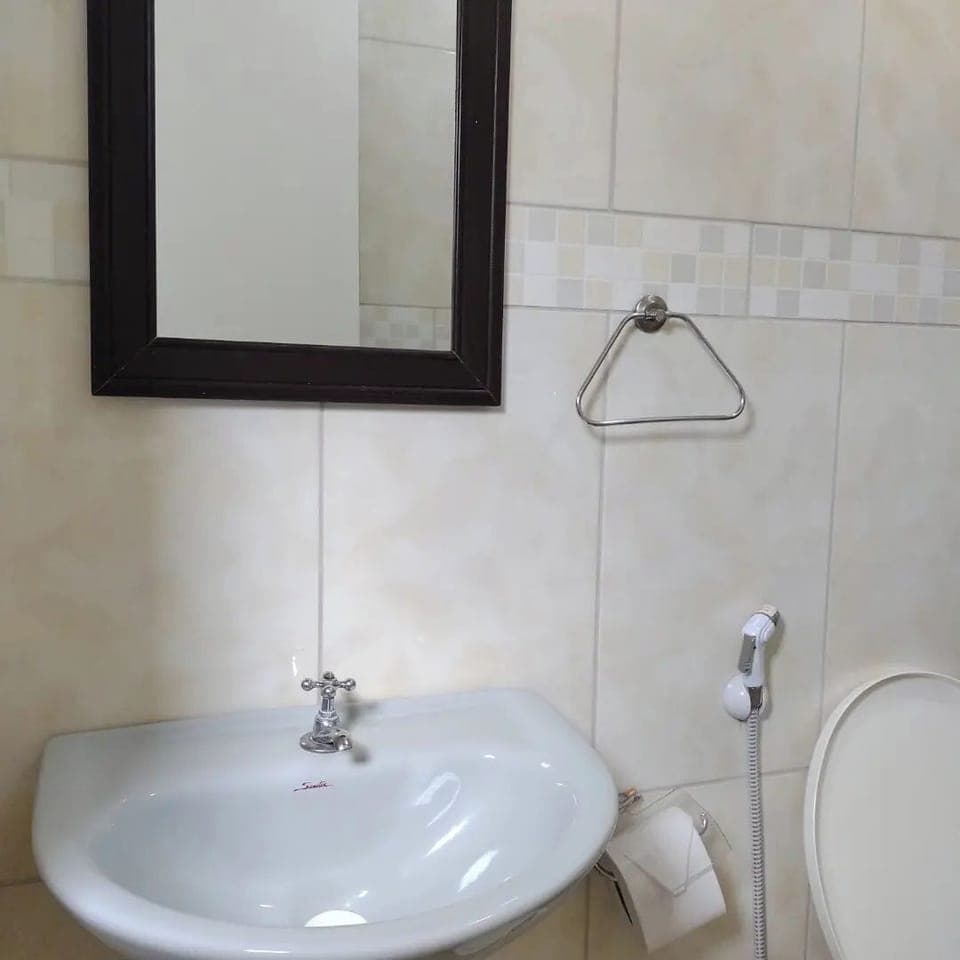 Basic Room | Bathroom | Shower, towels, soap, toilet paper