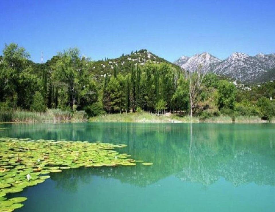 Apartment | View from property