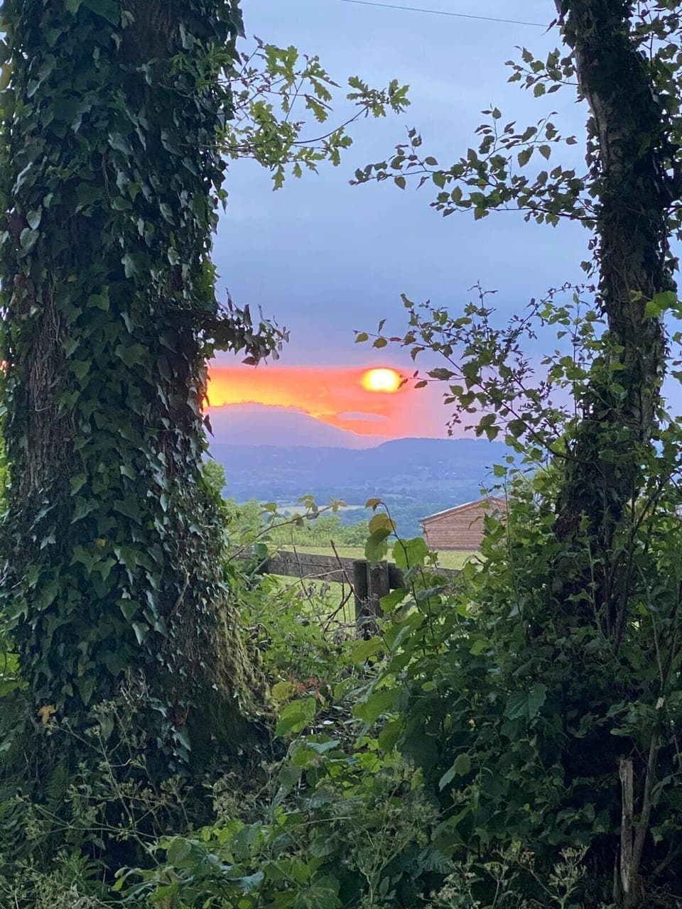 Cabin | Miscellaneous