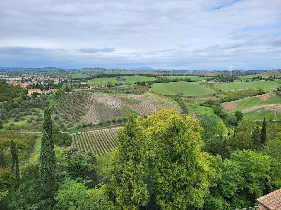 Land view from property