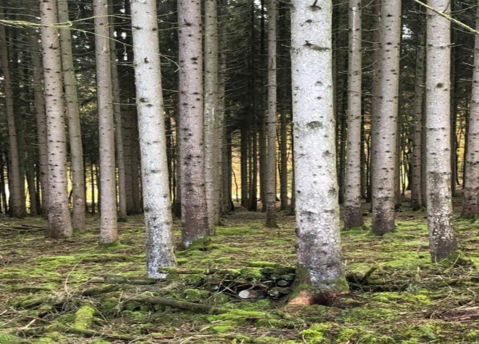 House | View from property