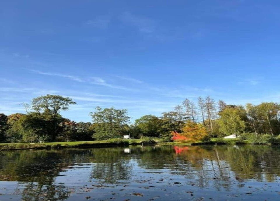 House | View from property