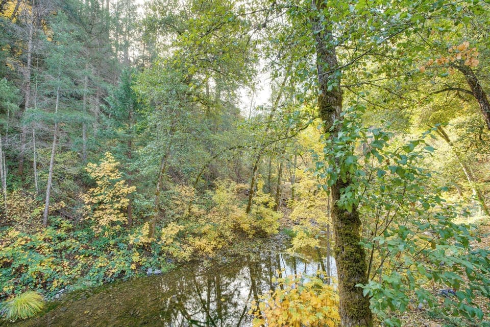 House (1 Bedroom) | Interior