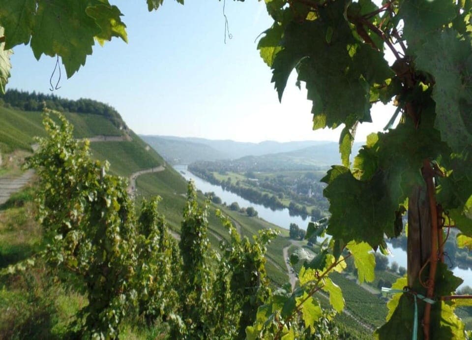 Apartment | View from property