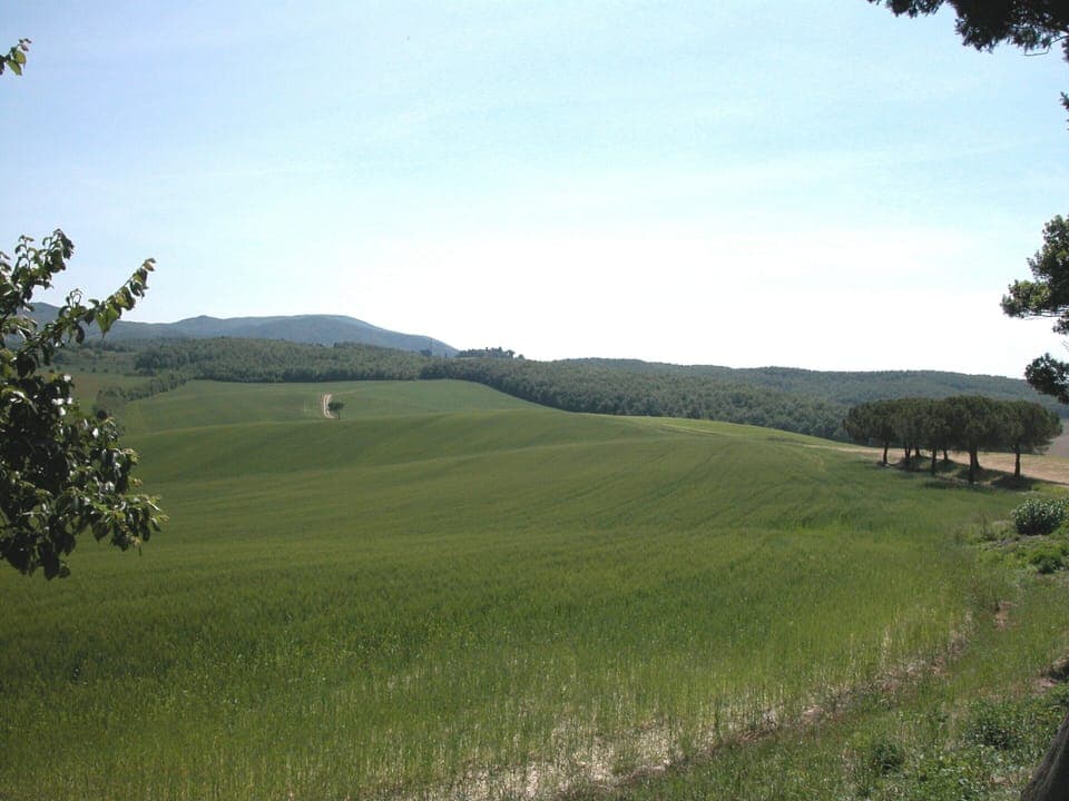 House | View from property