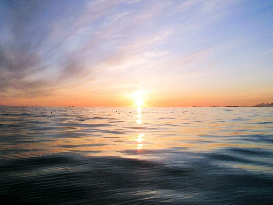 House | Miscellaneous