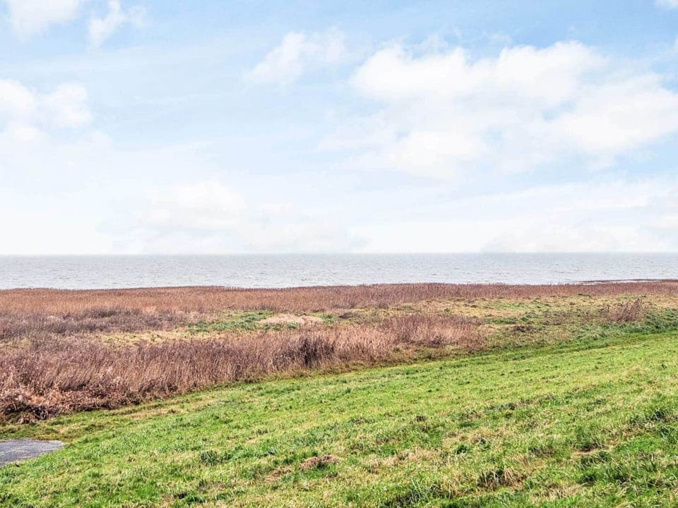 House | Miscellaneous