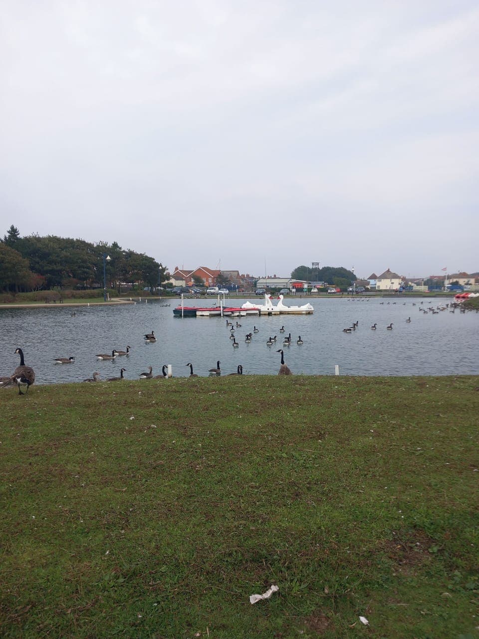 Chalet | Miscellaneous