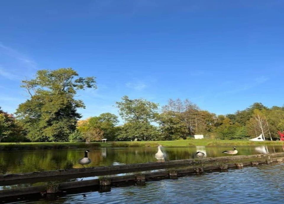 House | View from property