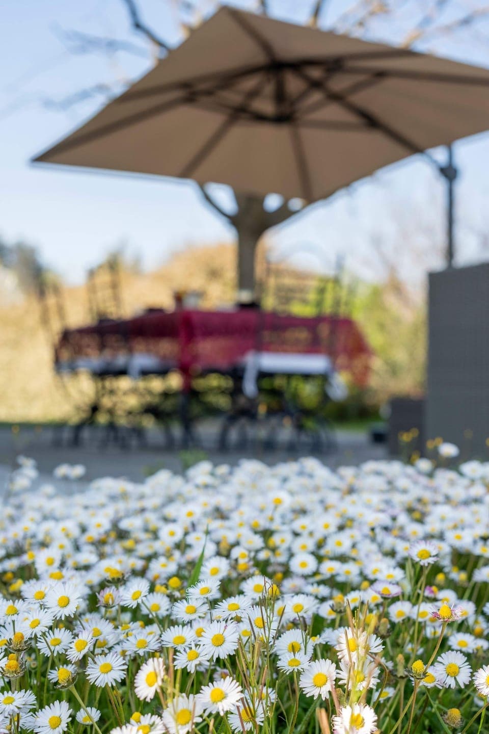 Villa | 3 bedrooms, Internet