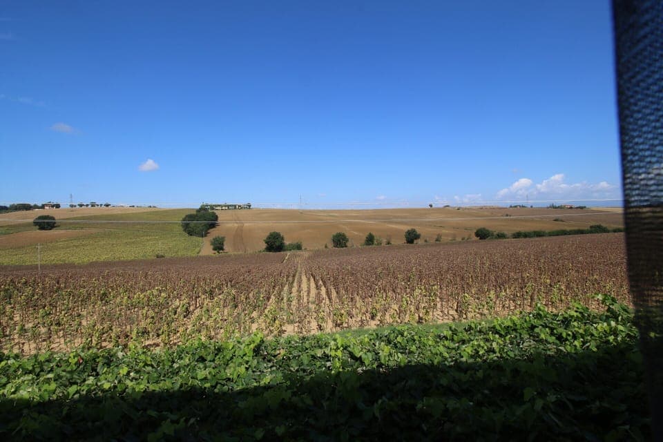 House | View from property