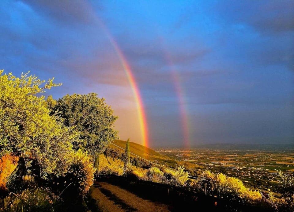 House | View from property